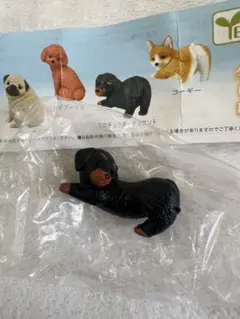 2026年最新】ダックスフンド ガチャの人気アイテム - メルカリ