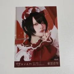 2026年最新】avam 東雲青空 チェキの人気アイテム - メルカリ