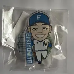 北海道日本ハムファイターズ 清宮幸太郎 アクリルスタンド - メルカリ