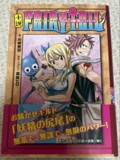 FAIRY TAIL 心に宿るcolor