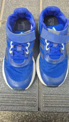 adidas 青 スニーカー (US)21.5