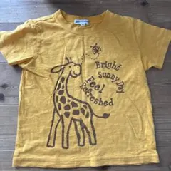 GREEN LABEL RELAXING キリン柄 Tシャツ 115cmのサムネイル