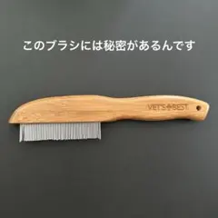 Item thumbnail for item 9a6e152d-2c8c-4e8f-a898-b143b51389da