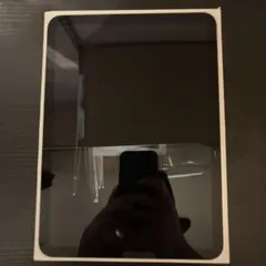 Apple iPad 第10世代 10.9インチ本体