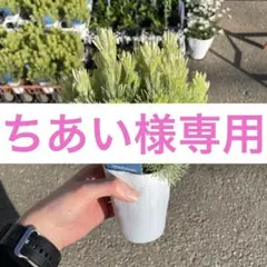 ちあい様専用のサムネイル