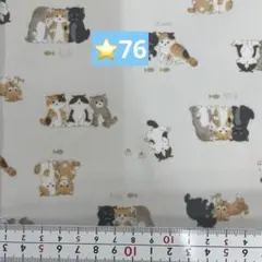 ⭐️76ラミネート生地1メートル