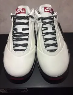 シカゴ バスケットボール