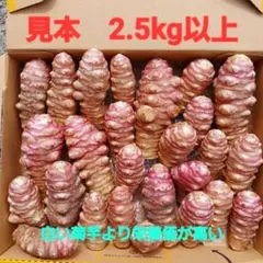 紫菊芋 　大小　自然栽培