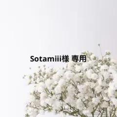 Sotamiii様 専用