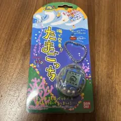 動作確認済】海で発見！！たまごっち 透明(波) - メルカリ