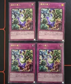 2026年最新】邪神と水晶の華 box 未開封の人気アイテム - メルカリ