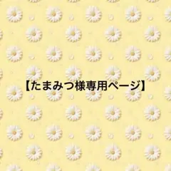 【たまみつ様専用ページ】キスマイ　ぬいぐるみ　ちびぬい　服　衣装