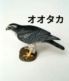 miu-miu様 リクエスト 2点 まとめ商品