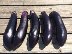 かっき様専用ページ