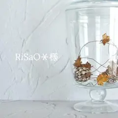 RiSaO＊様　宝石質✨スコロライト　コンケーブ　ピアス　14kgf　他5点