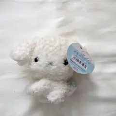 2026年最新】san-x ぶるぶるどっぐの人気アイテム - メルカリ