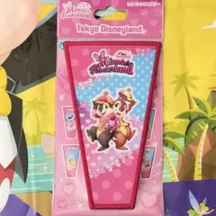 ワッペンアクセサリー チップとデール パルパルーザ ミニーのファンダーランド