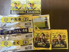 Item thumbnail for item 955c2401-5877-40c3-92d1-a70f0f7c4384