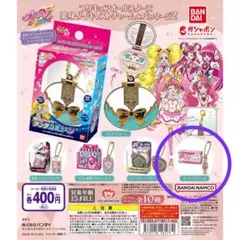 プリキュアオールスターズ 変身ダイキャストチャーム＆パッケージ2