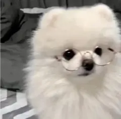 non様 リクエスト 2点 まとめ商品