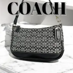 【*i様 COACH　コーチ　アクセサリーポーチ　ワンショルダー　ミニシグネチャ