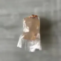SKZOO グミマスコットチャーム