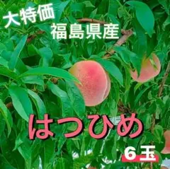 ❕大特価❕【期間限定】福島県産 極早生品種「はつひめ」6玉（訳あり・ご家庭用)のサムネイル