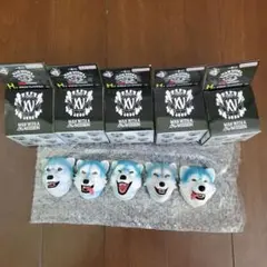 一番くじMAN WITH A MISSION H賞フェイスマグネットコンプリート