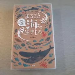 まるごと海の生きもの