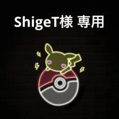 ShigeT様 おまとめ依頼 専用ページ
