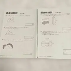 mmyＳＳ特訓＊６年＊算数／桜蔭 対策プリント＊全４９回＊激レア 貴重 mmy様専用SS特訓＊6年＊算数／桜蔭 対策プリント＊全49回＊激レア