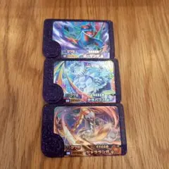 ポケモンフレンダ　スーパートレジャー　ボーマンダ　テラパゴス　ジャラランガ