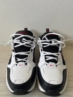 NIKE ナイキ エア モナーク IV