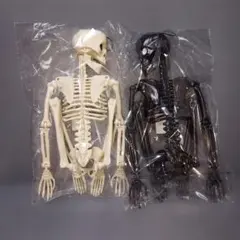 ガイコツフィギュア　超BIG約63cm　2体セット　ブラック&ホワイト　未使用