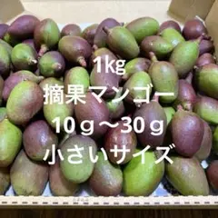 摘果青マンゴー1キロ（20g〜80g）コンパクトBOX - メルカリ
