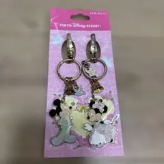 東京ディズニーリゾート ミッキー・ミニー キーホルダーセット