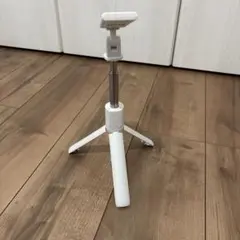 Item thumbnail for item 16aac45d-eed9-43d3-b5aa-fa4fa0864c5e