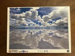 2025年最新】3000ピース ウユニ塩湖の人気アイテム - メルカリ