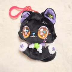 ✮⋆*wishcat NCTWISH リク キーリング ウィッシュキャット