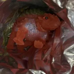 デアゴスティーニ　恐竜アタックアンドコ　ノドサウルス　未使用