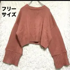 【earth／アース】ワイドスリーブニット クロップド丈 ゆったりフリーサイズ