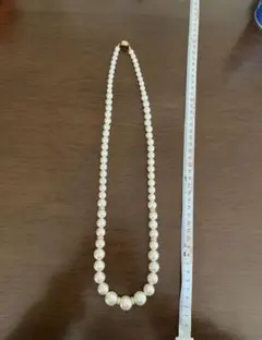 Item thumbnail for item 778b5ff5-9851-4f9f-87b3-5df545a0ff8c