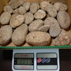 糸魚川　姫川薬石　石英斑岩 セット①　2kg　海石　 天然石