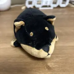 Item thumbnail for item 93560cc1-69c2-4225-b73f-7a65463f5300