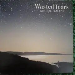 SHOGO HAMADA Wasted Tears