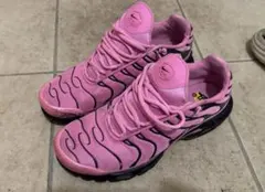 完売品Nike Air Max Plus 