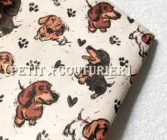 肉球