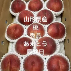 山梨の木のてっぺん桃 超特大サイズを2キロ箱に5個詰めて発送 今が旬