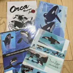 Item thumbnail for item ad95c3a6-6d32-4810-9c71-4854f6f2e7df