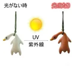 Item thumbnail for item 4454d27e-a599-4f17-8dd4-af24e1020f48